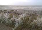 Frost am Strand Friedrichskoog Spitze