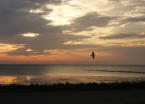 Abendstimmung Friedrichskoog Spitze