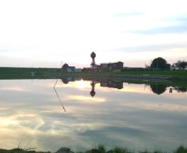 Hafen Friedrichskoog Blick zur Seehundstation